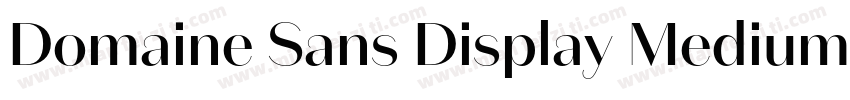 Domaine Sans Display Medium字体转换